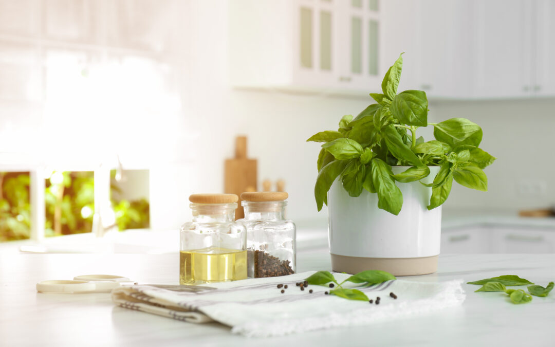 Herbs for the Home: For Making, Baking & Decorating