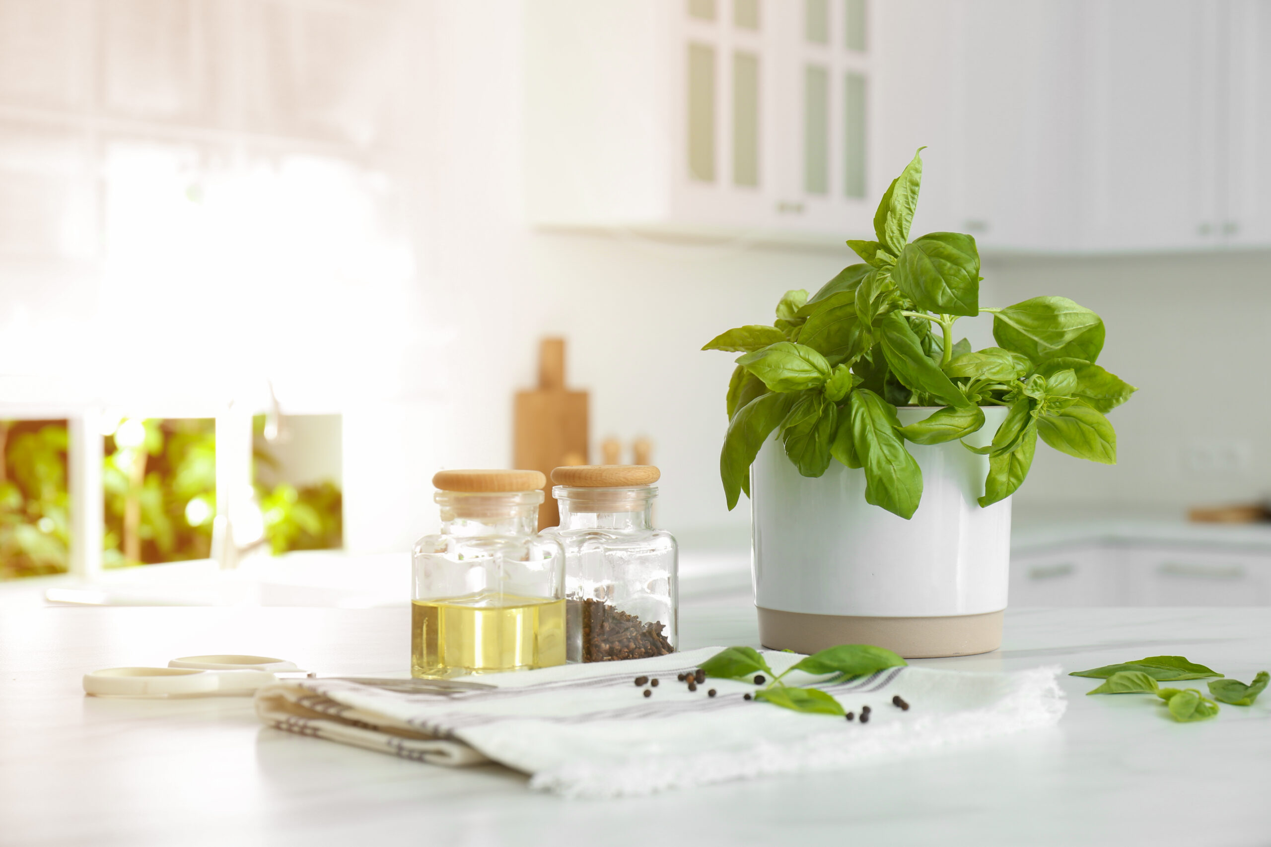 Herbs for the Home: For Making, Baking & Decorating