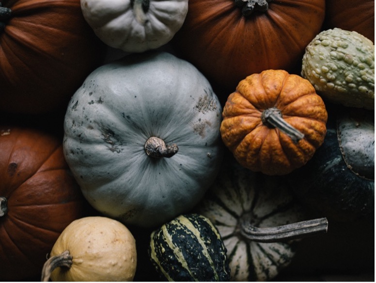 Different varieties of Pumpkins | Emerson Wild 
