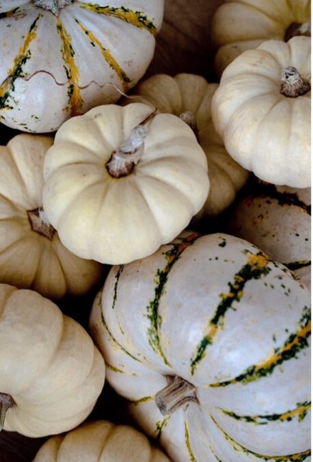 Pumpkins 101: The Basics