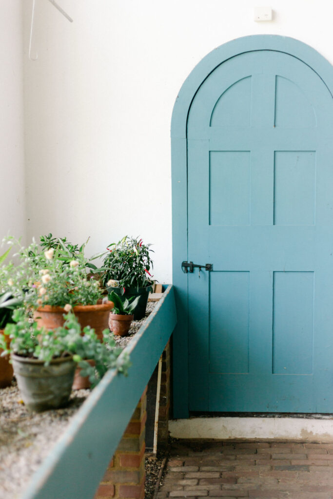 Herbs - Mediterranean Garden