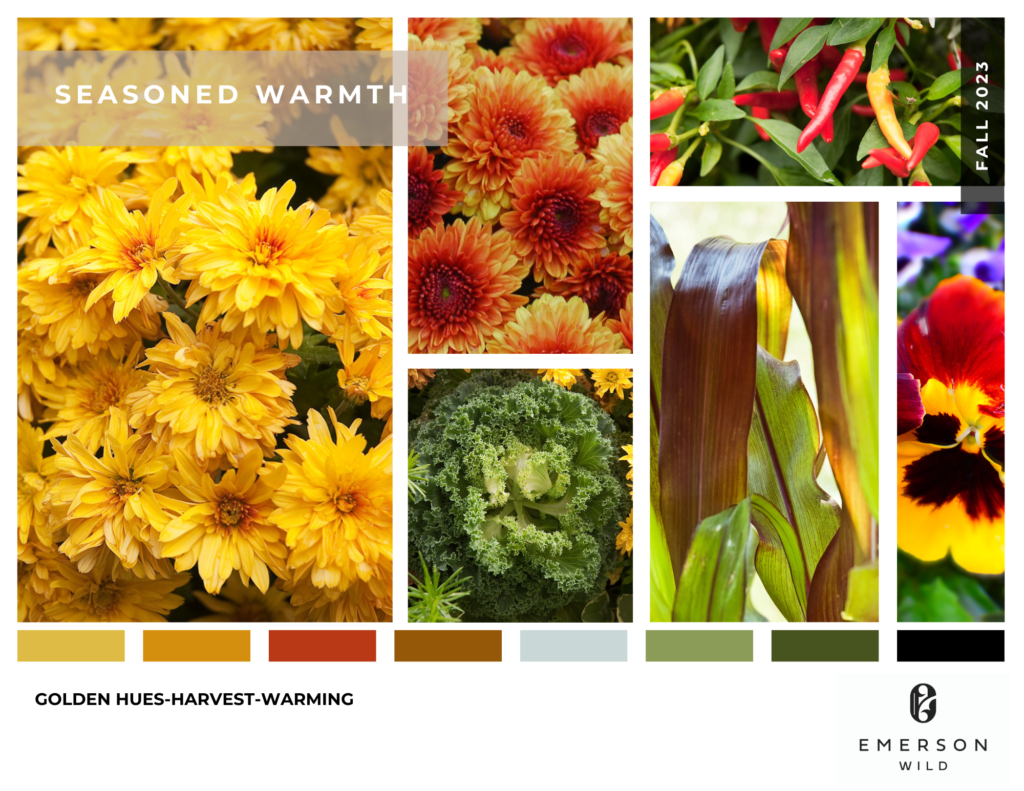 Seasoned Warmth | Emerson Wild | Fall Container Garden