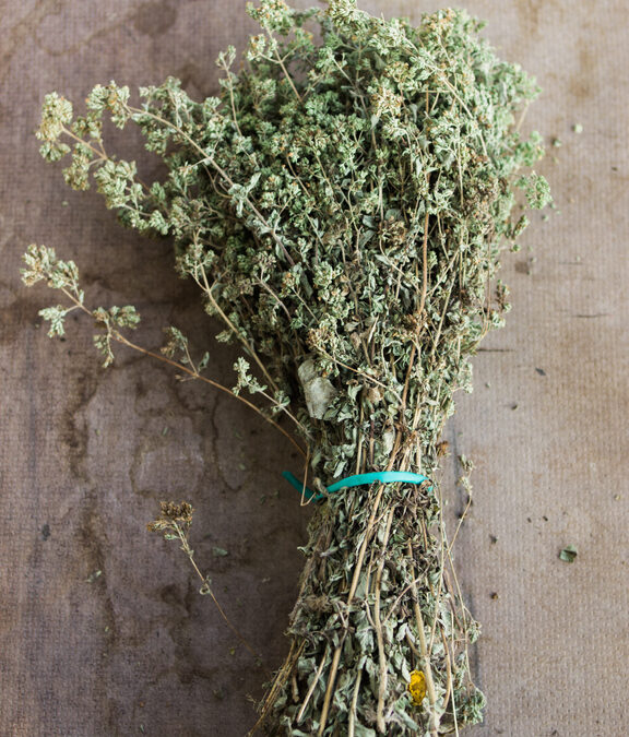 How to Dry and Store Your Garden Herbs