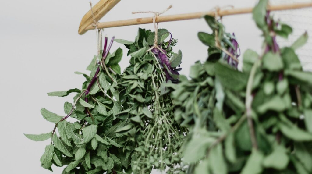 Storing dried garden herbs | Emerson Wild