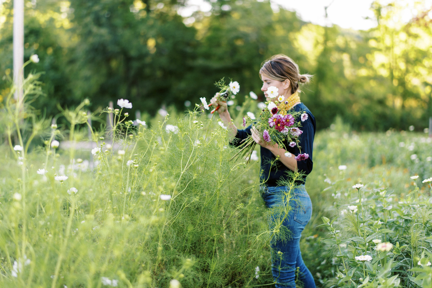 Cutting from your Fresh cut flower garden | Emerson Wild