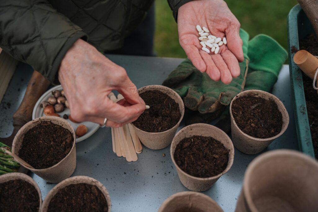 How to grow your own food | Seed Starting | Emerson Wild