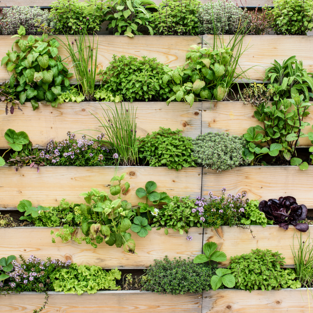 Vertical Gardening | Emerson Wild