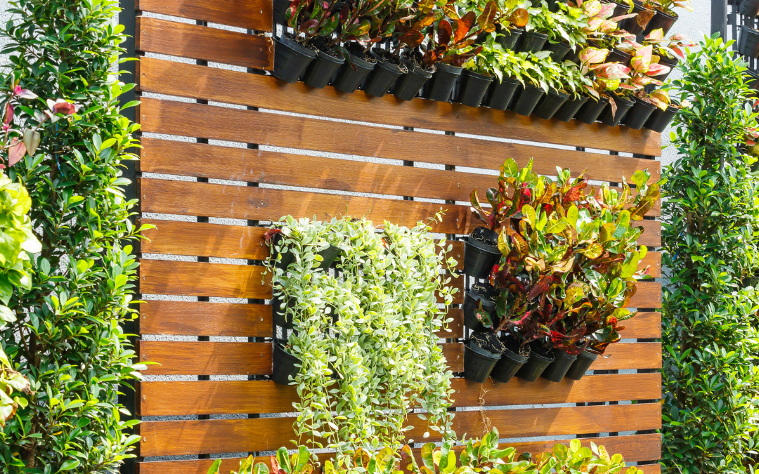 Vertical Gardening: More with Less