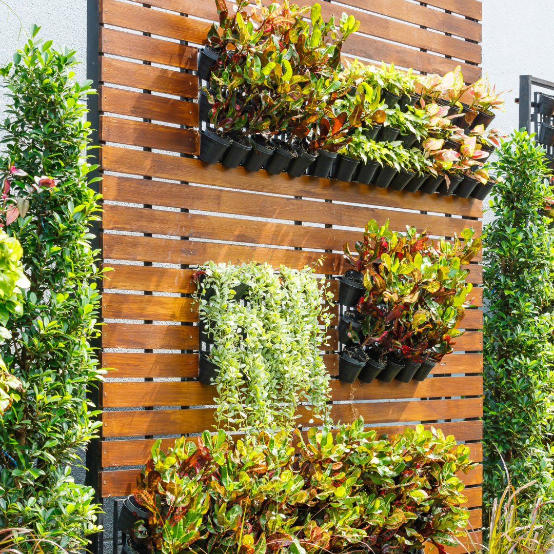 Vertical Gardening: More with Less