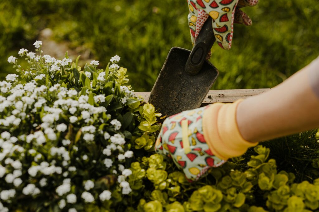 Keeping a Summer Container Garden Beautiful All-Season