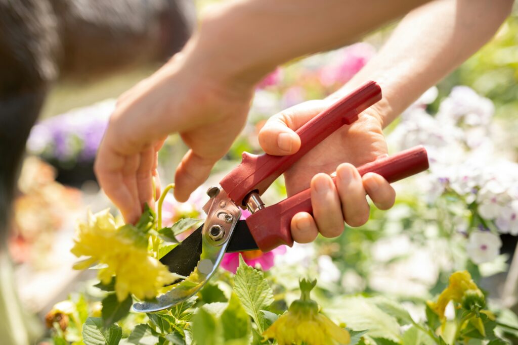 Summer Container Gardening with Emerson Wild