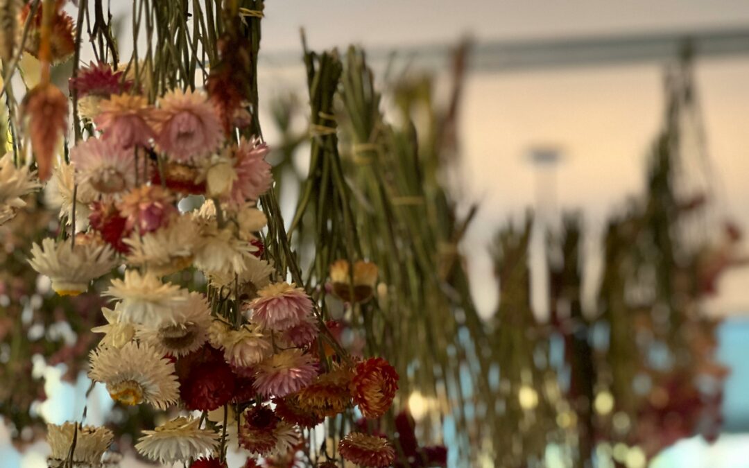 How to Dry Flowers with Emerson Wild