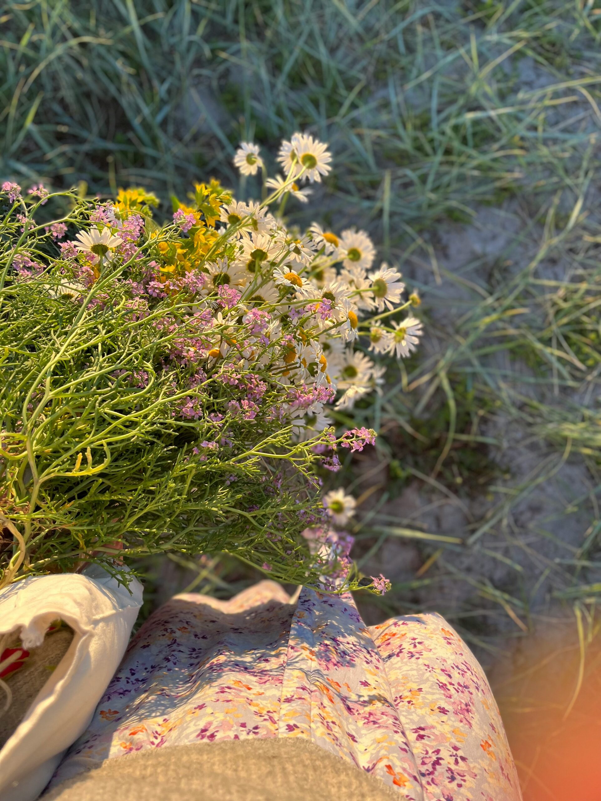 Dried Flowers: Foraging, Growing and Sourcing