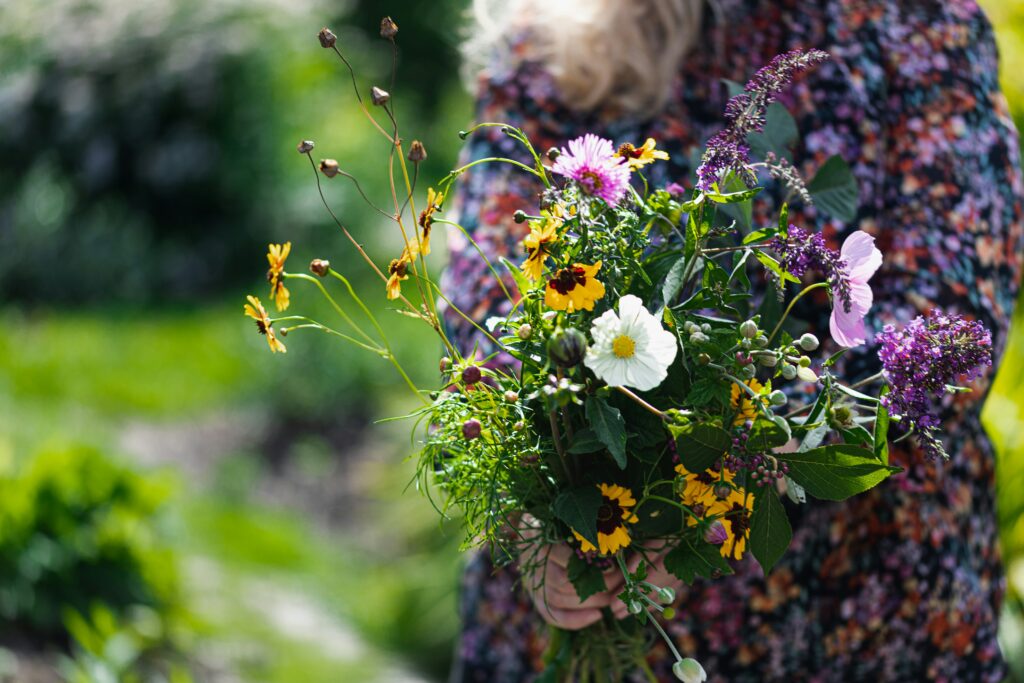 Dried Flowers | Emerson Wild