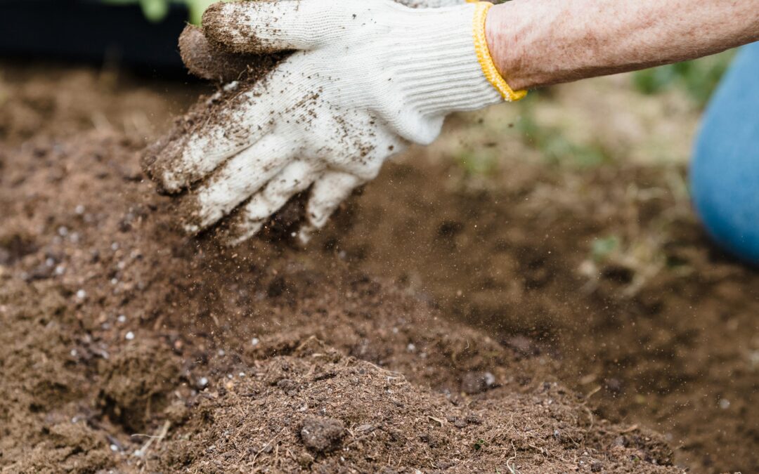 3 Easy DIY Soil Tests to Try