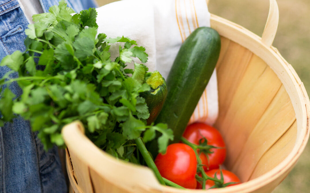 When and How to Harvest Vegetables for Best Flavour