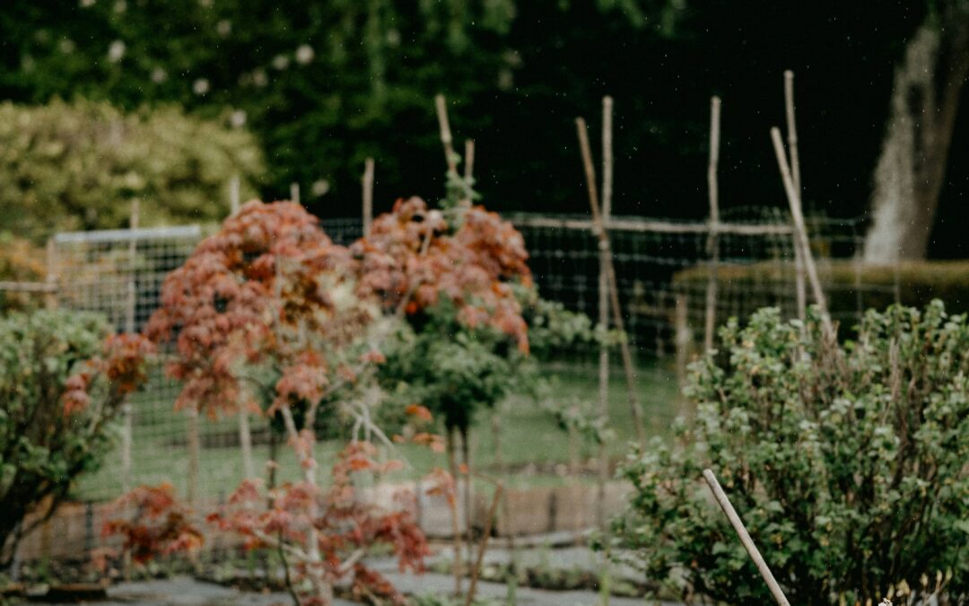 Preparing for Planting Day in Your Garden