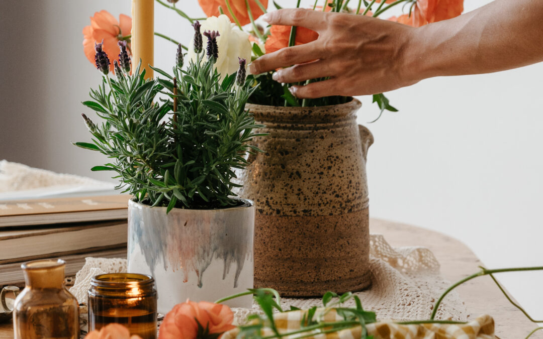 Cut Flowers All-Season Long
