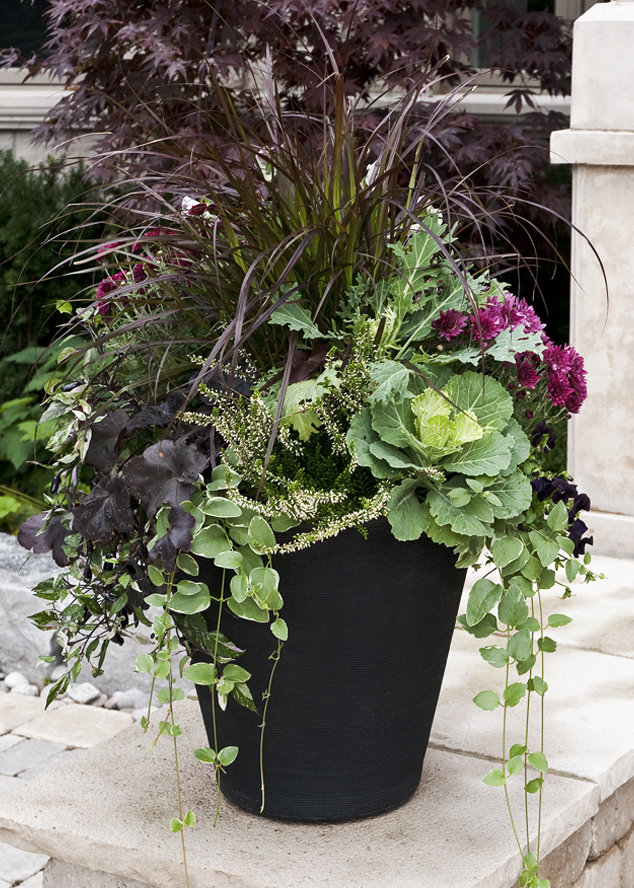 Emerson Wild’s Favourite Fall Container Plants